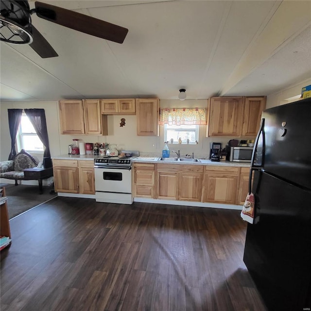 kitchen featuring ceiling fan, black refrigerator, white range, and dark hardwood / wood-style floors