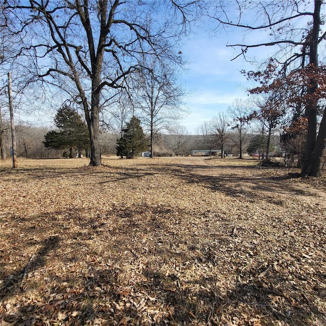 view of yard featuring a rural view