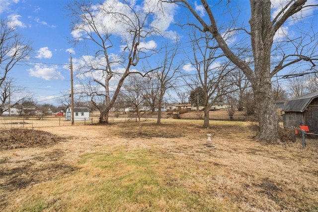 view of yard with a storage shed