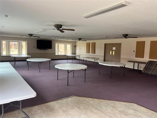 game room with carpet, plenty of natural light, and a textured ceiling