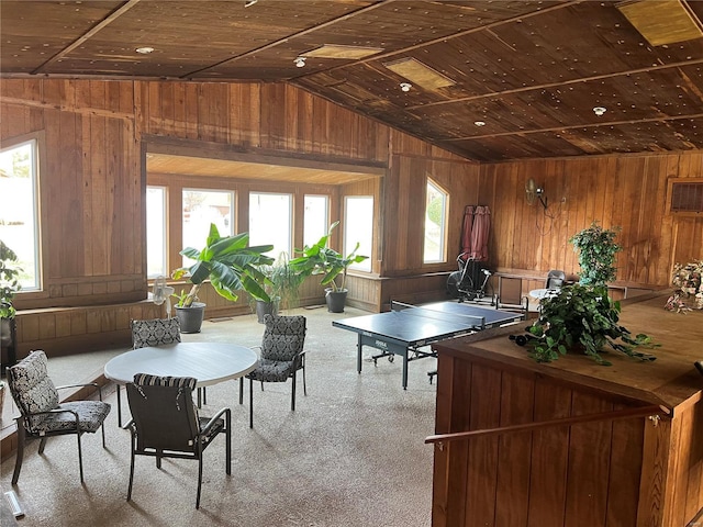 playroom featuring a wealth of natural light, light colored carpet, and wooden walls