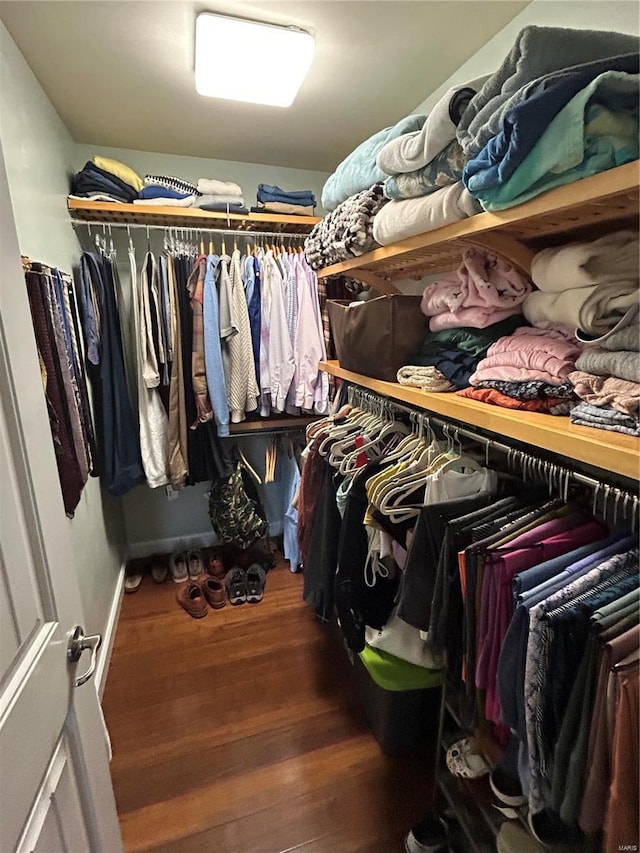 spacious closet featuring dark hardwood / wood-style floors