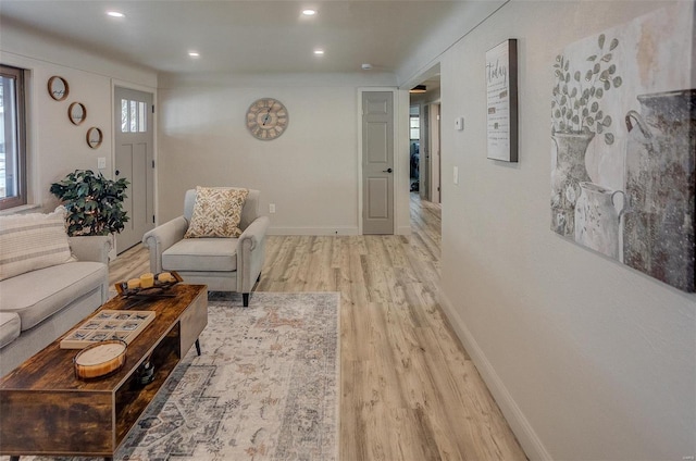 living room featuring light hardwood / wood-style floors