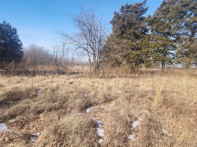 view of nature featuring a rural view