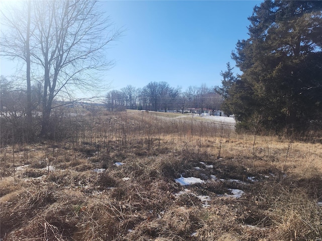 view of yard with a rural view