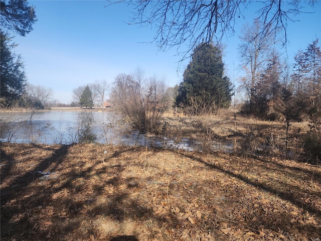 view of yard with a water view