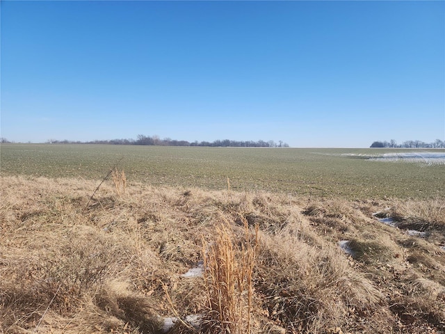 view of local wilderness with a rural view