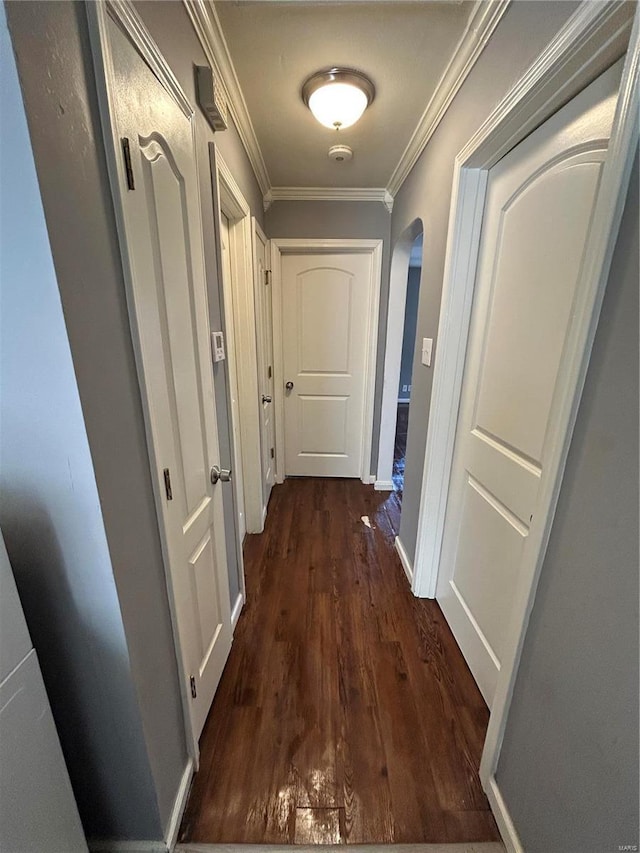 hall with crown molding and dark wood-type flooring