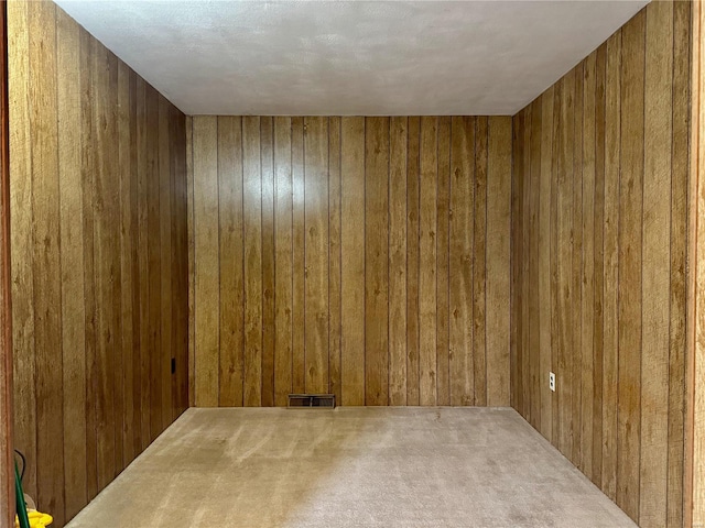 spare room featuring wooden walls and carpet