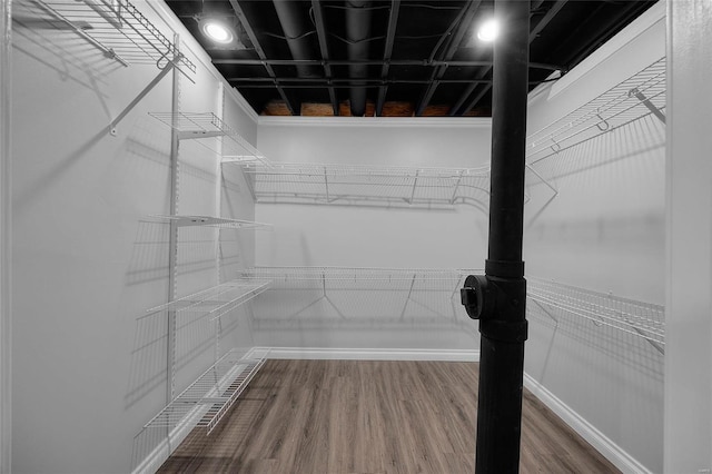 spacious closet featuring wood-type flooring