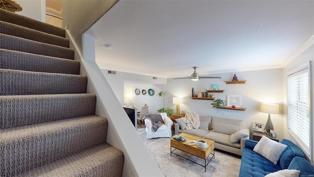 living room featuring ornamental molding and ceiling fan