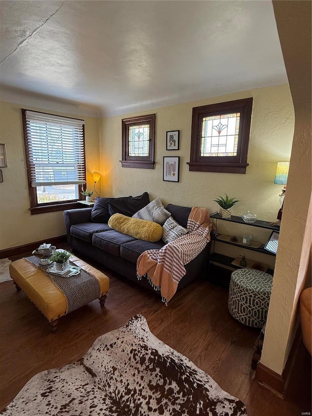 living room with dark wood-type flooring