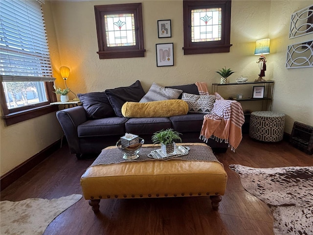 living room featuring dark hardwood / wood-style flooring