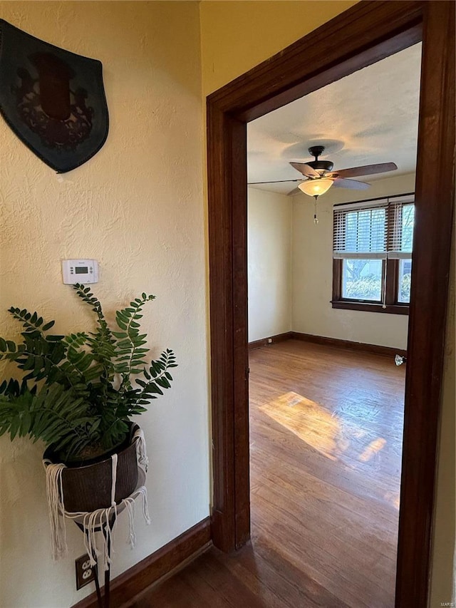 hallway with wood finished floors, baseboards, and a textured wall