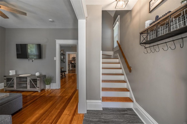 staircase featuring wood-type flooring and ceiling fan