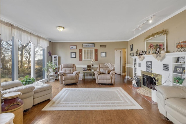 living room featuring crown molding, wood-type flooring, and rail lighting