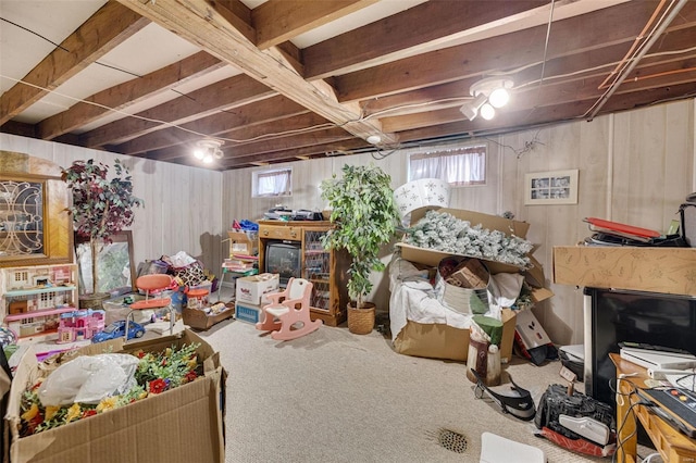 interior space featuring carpet floors