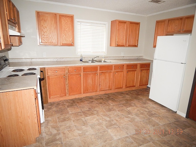 kitchen featuring range with electric stovetop, range hood, sink, white refrigerator, and ornamental molding