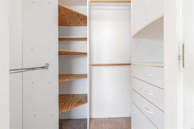 walk in closet featuring light carpet