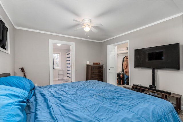 bedroom featuring a walk in closet, ensuite bath, ornamental molding, a closet, and ceiling fan