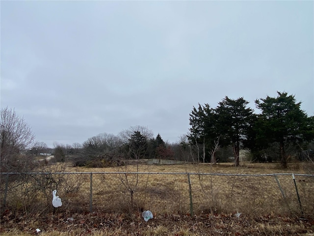 view of yard with a rural view