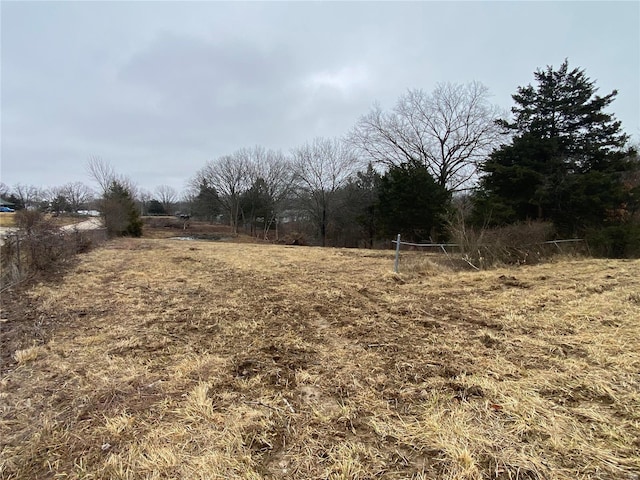 view of yard featuring a rural view