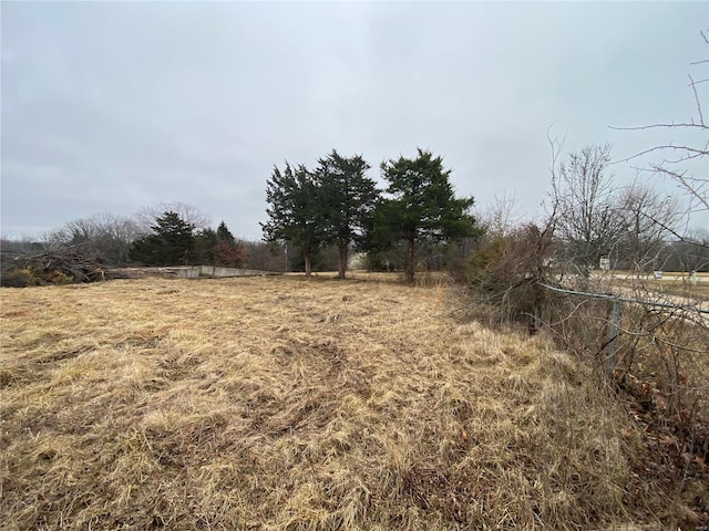 view of yard with a rural view