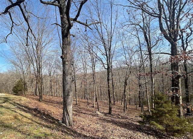 view of local wilderness