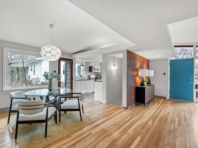 dining space with light hardwood / wood-style floors