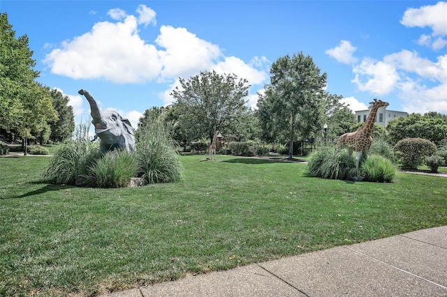 view of property's community featuring a lawn