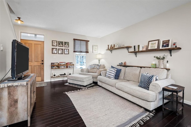 living room featuring dark hardwood / wood-style flooring