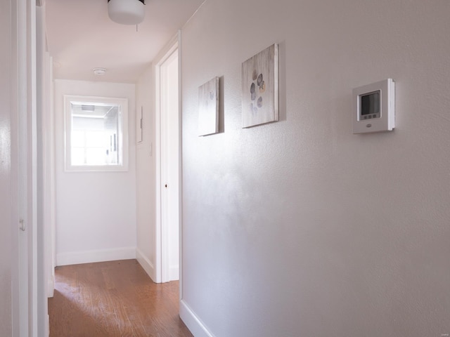 hall featuring wood-type flooring