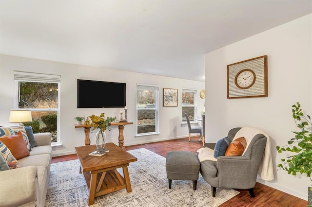 living room featuring hardwood / wood-style floors