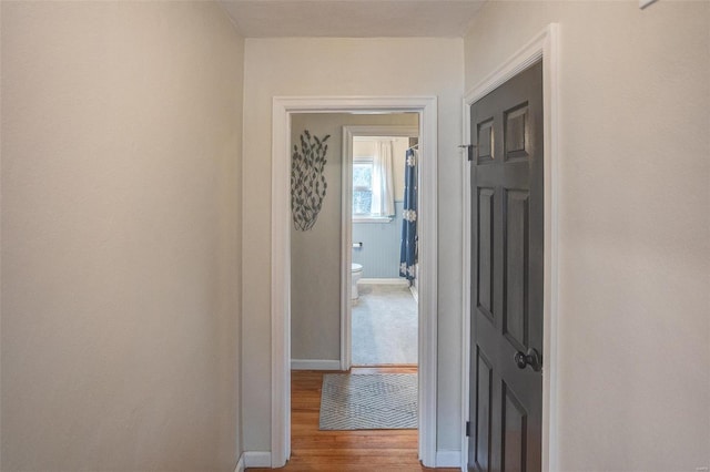 hallway with hardwood / wood-style flooring