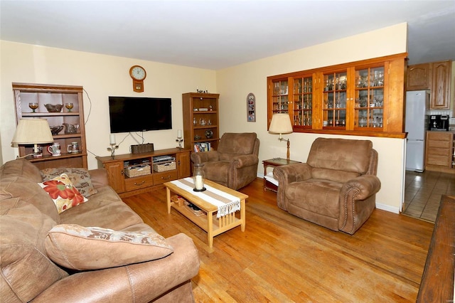 living room featuring light wood-type flooring