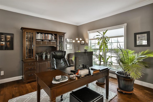 office featuring ornamental molding and dark hardwood / wood-style floors