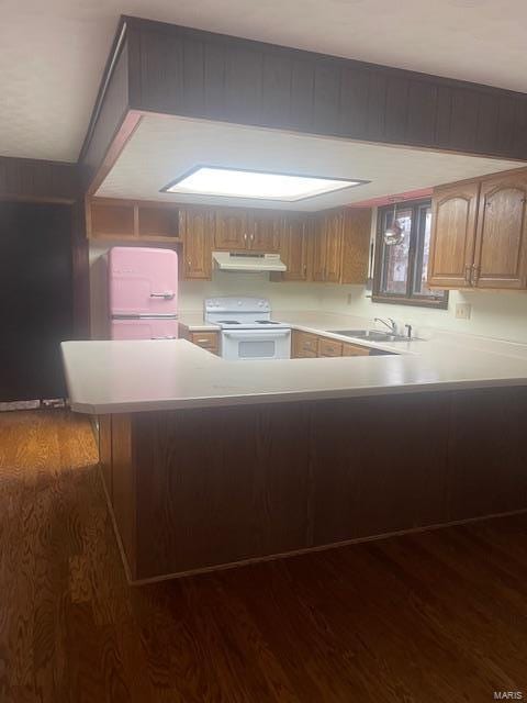 kitchen with under cabinet range hood, a sink, electric stove, light countertops, and dark wood-style floors