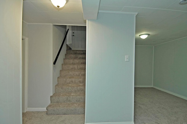 stairway with carpet flooring