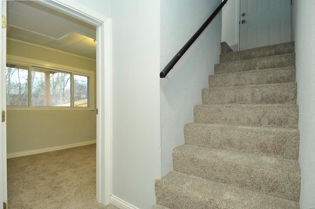 stairway with carpet flooring