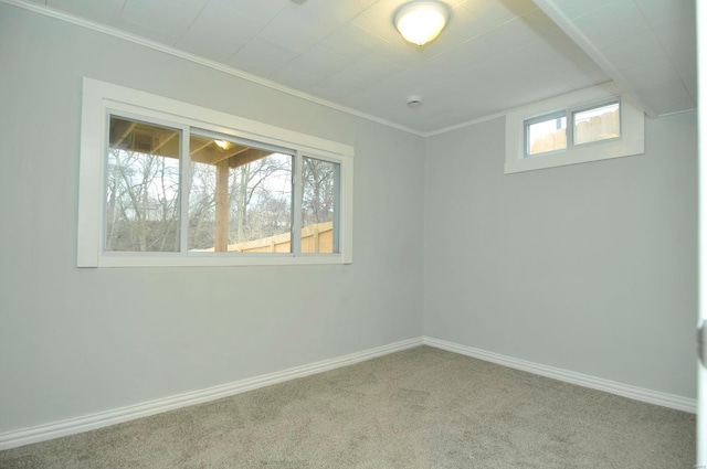 spare room with crown molding and carpet flooring