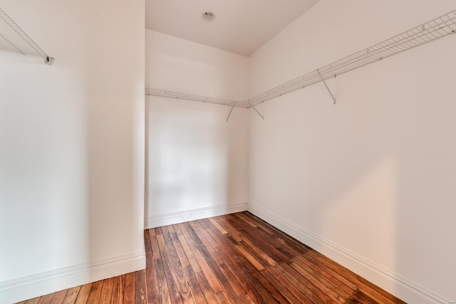 spacious closet with wood-type flooring