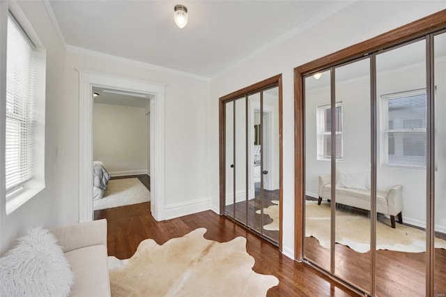 interior space featuring ornamental molding and dark hardwood / wood-style flooring