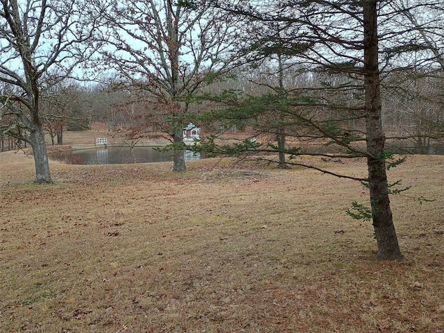 view of yard featuring a water view