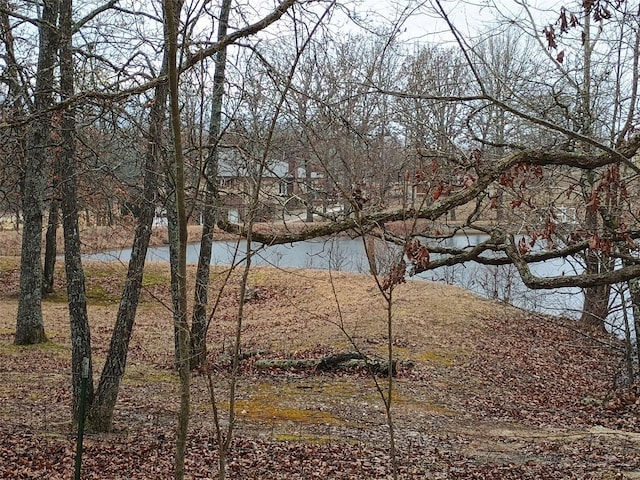 view of water feature