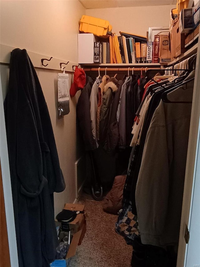 walk in closet with carpet floors