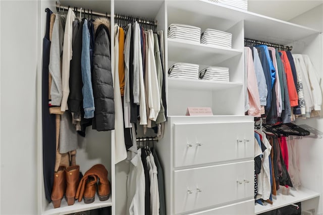 view of spacious closet