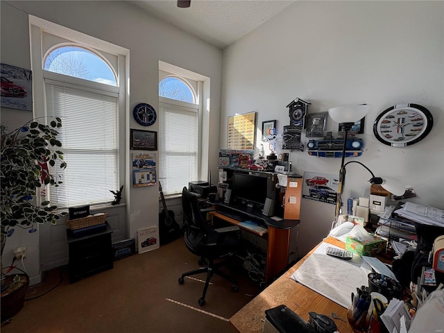 office area with carpet and a textured ceiling