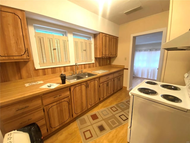 kitchen featuring electric stove, sink, and exhaust hood