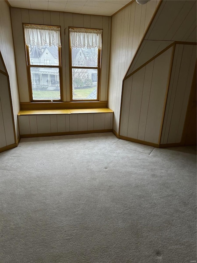 additional living space featuring light colored carpet