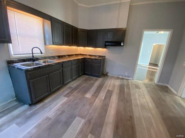 kitchen with sink, a towering ceiling, ornamental molding, and light hardwood / wood-style floors